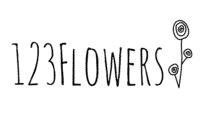 logo 123 Flowers