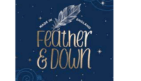 logo Feather and Down